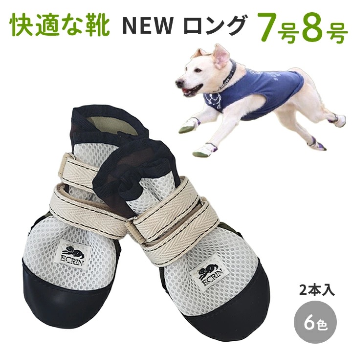 快適な靴　画像　ロング