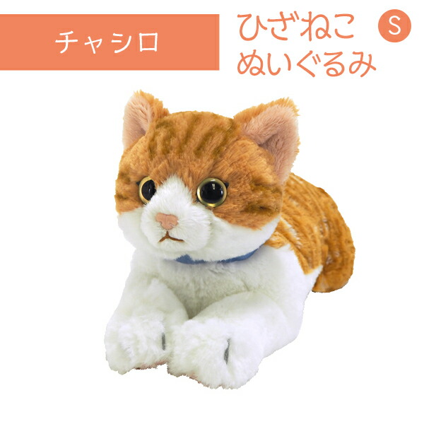 ひざねこ S チャシロ ぬいぐるみ ペット用品 猫用品 オーナーグッズ