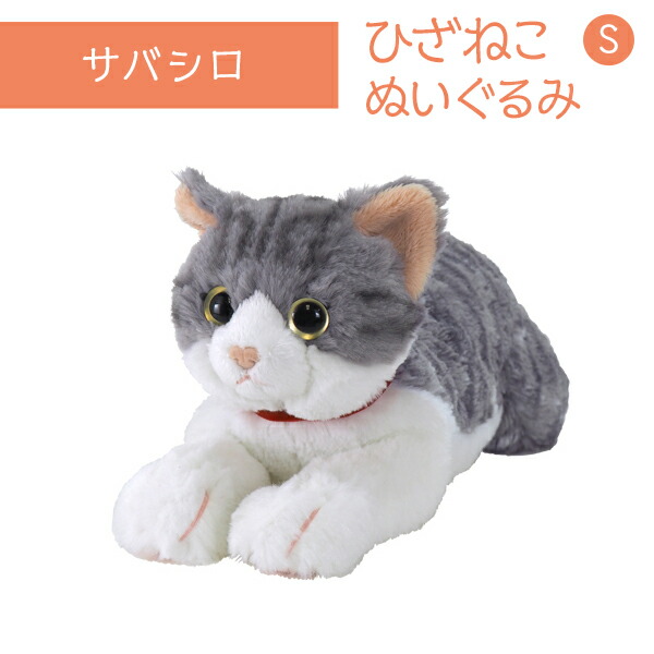ひざねこ　お座り　サバシロ　グレー サンレモン ひざねこ M ミケ/オッドアイWH/GY/BR/BK/サバシロ/チャシロ
