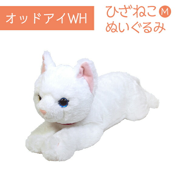 ひざねこ M オッドアイ WH ぬいぐるみ ペット用品 猫用品 オーナーグッズ