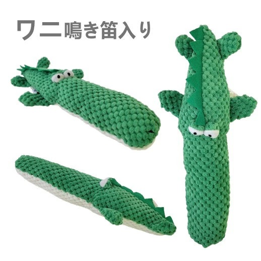 ワニ
