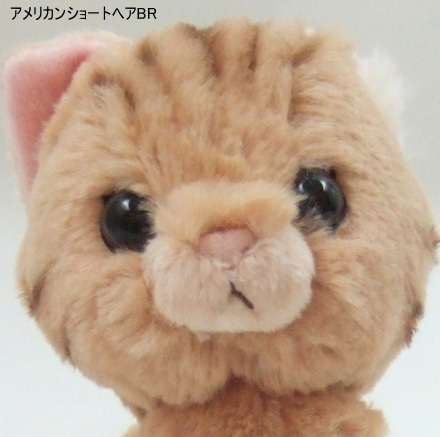 【新入荷】キトンぬいぐるみアメリカンショートヘアBR