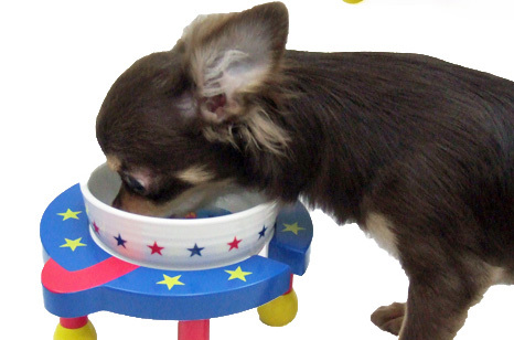 食器台ワンダープラネット超小型犬用【食器＆食器台セット】
