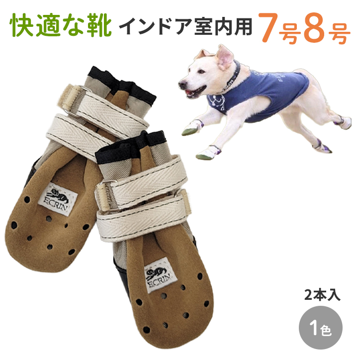 快適な靴　インドア