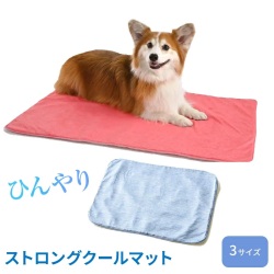 ストロング