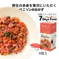 7days セブンデイズ
