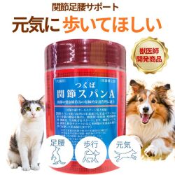 スパン