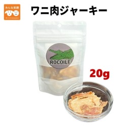ワニ