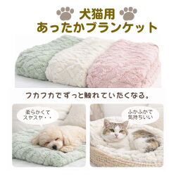 ケーブルニット