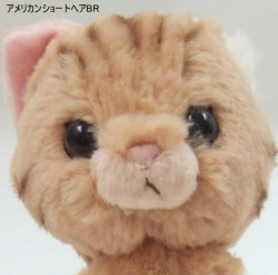 【新入荷】キトンぬいぐるみアメリカンショートヘアBR