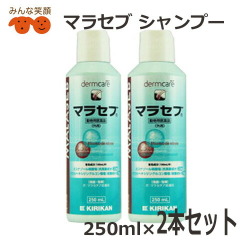 【2本】犬用 マラセブシャンプー 250ml  2本  動物用医薬品【沖縄発送不可】