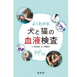 血液検査