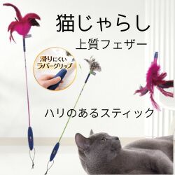 フェザーワンド