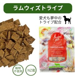 サンデーペッツ　犬
