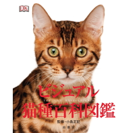 ビジュアル