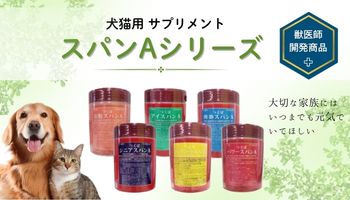 スパン