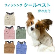 クールベスト