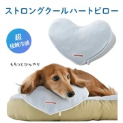 ストロング