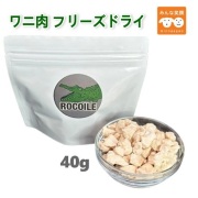 ワニ