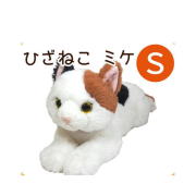 【猫ぬいぐるみ】サンレモンひざねこSBK（ブラック）