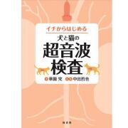 超音波検査