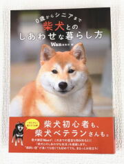 ０歳からシニアまで