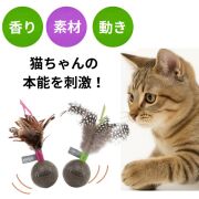 キャットニップ