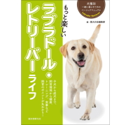 もっと楽しい