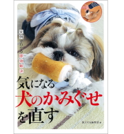 気になる犬の