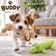 バディミニ