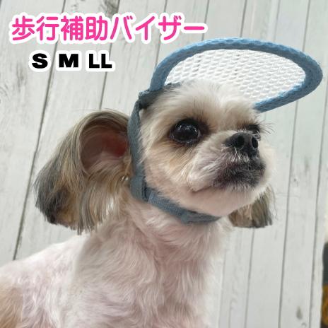 ブリムハット