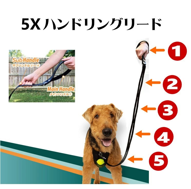 ハンドリングリード