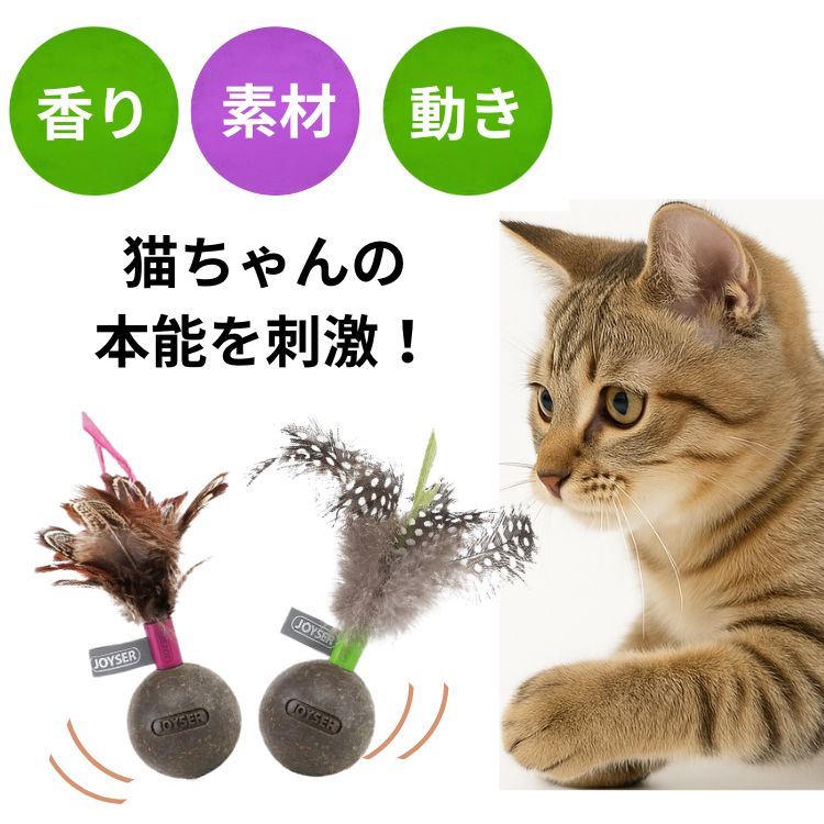 キャットニップ