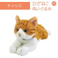 ひざねこ M チャシロ ぬいぐるみ ペット用品 猫用品 オーナーグッズ