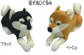 【送料無料】柴犬 ぬいぐるみ オーナーグッズ 犬 シバ 【沖縄発送不可】