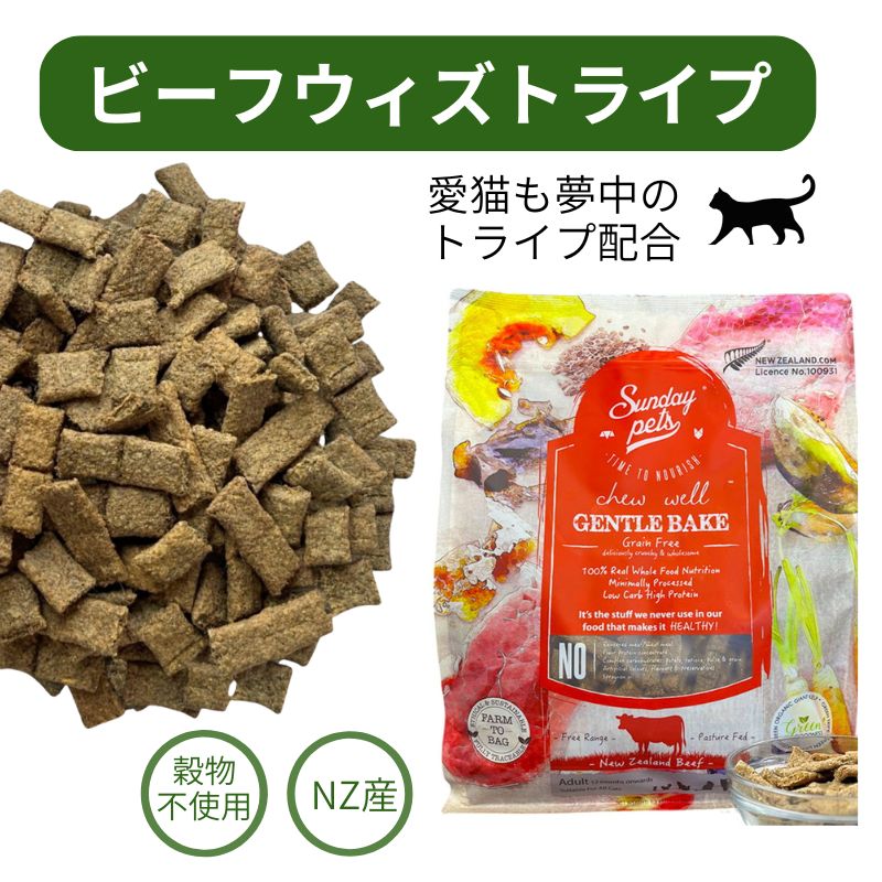 サンデーペッツ