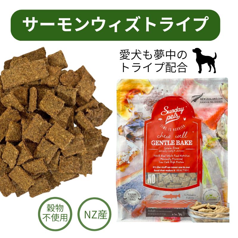 サンデーペッツ