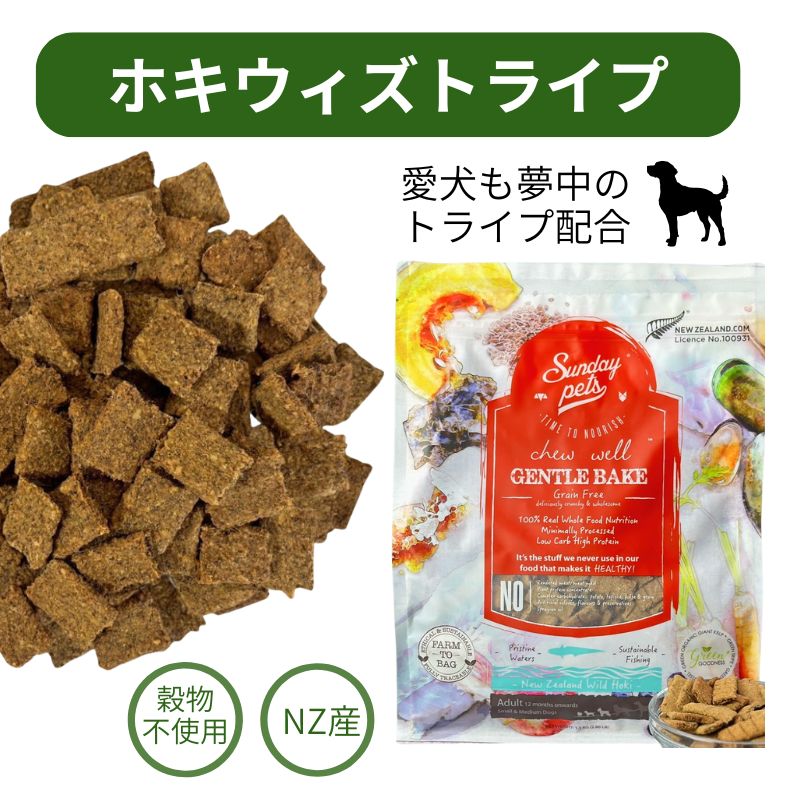 サンデーペッツ