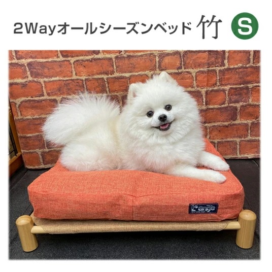 竹