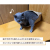猫袋