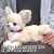 ひざわんこSチワワCRぬいぐるみペット用品オーナーグッズ犬