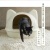 猫トイレ