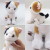 【新入荷】キトンぬいぐるみミケ