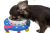 食器台ワンダープラネット超小型犬用【食器＆食器台セット】