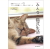 猫式生活