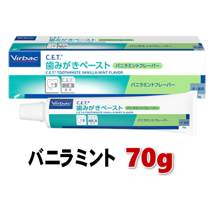 歯みがきペースト