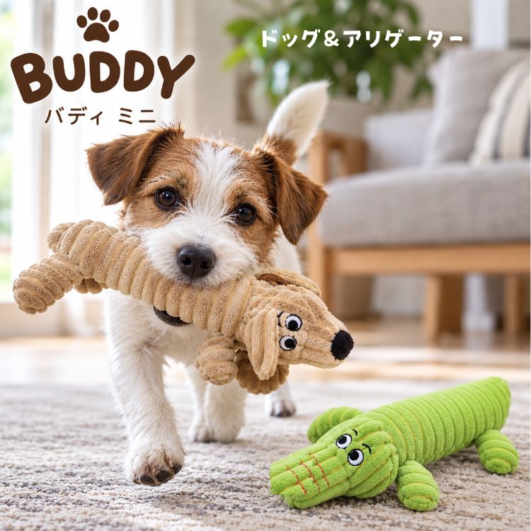 バディミニ
