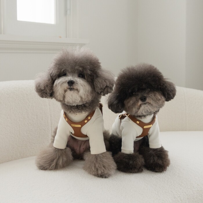 BYBONG　DELIGHT HARNESS（キャメル）