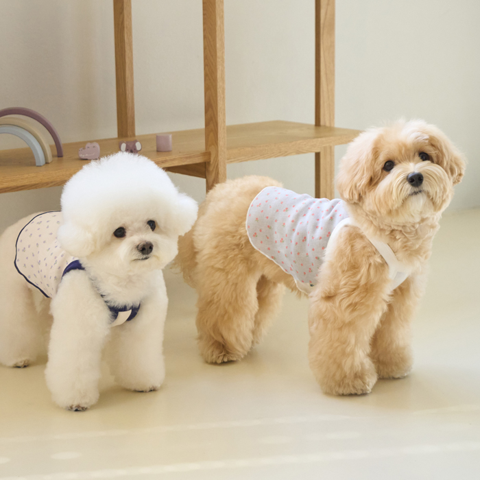 【BENNYS】ブリーズ クロップトップ