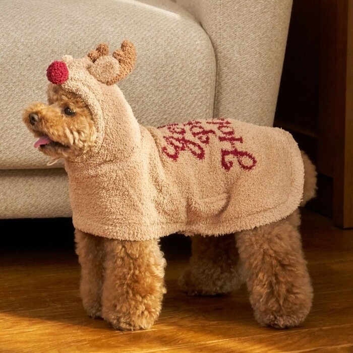 クリスマス